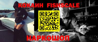 гашик Кулебаки