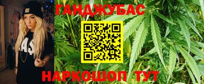 гашик Кулебаки